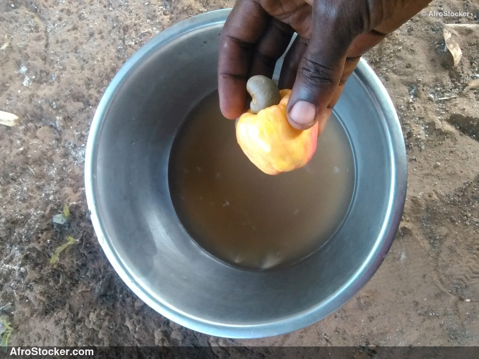 Cashew Harvest Pile Africa | AfroStocker