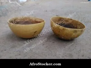 Authentic African Calabash Artisan