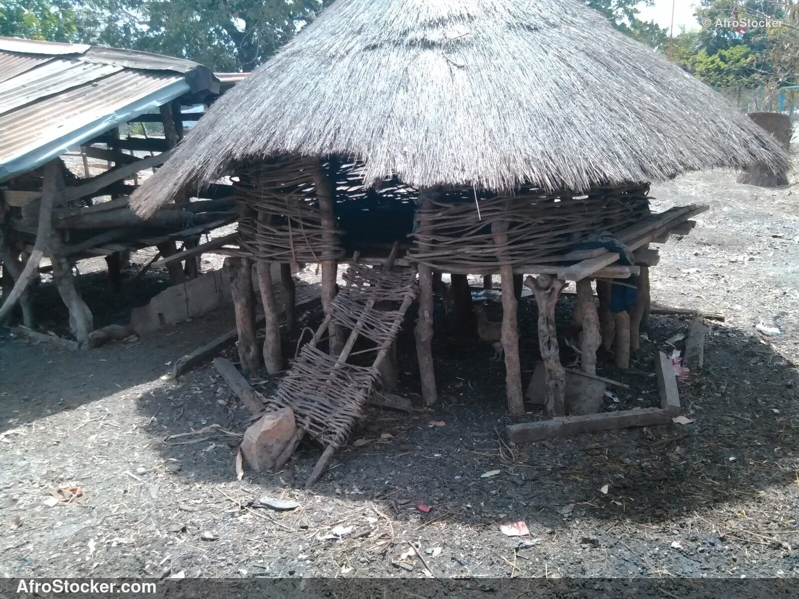 Goat Shelter African Village / Abri Chèvre Village Africain | AfroStocker