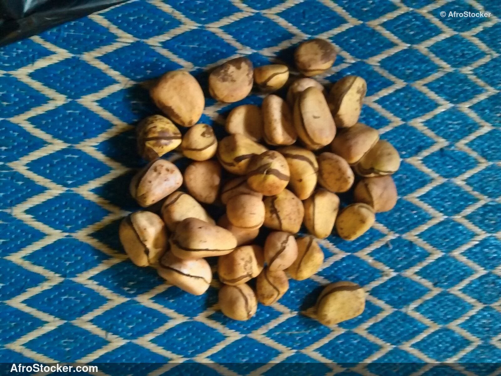 Kola Nuts Africa Traditional / Noix de Cola Afrique Traditionnelle | AfroStocker