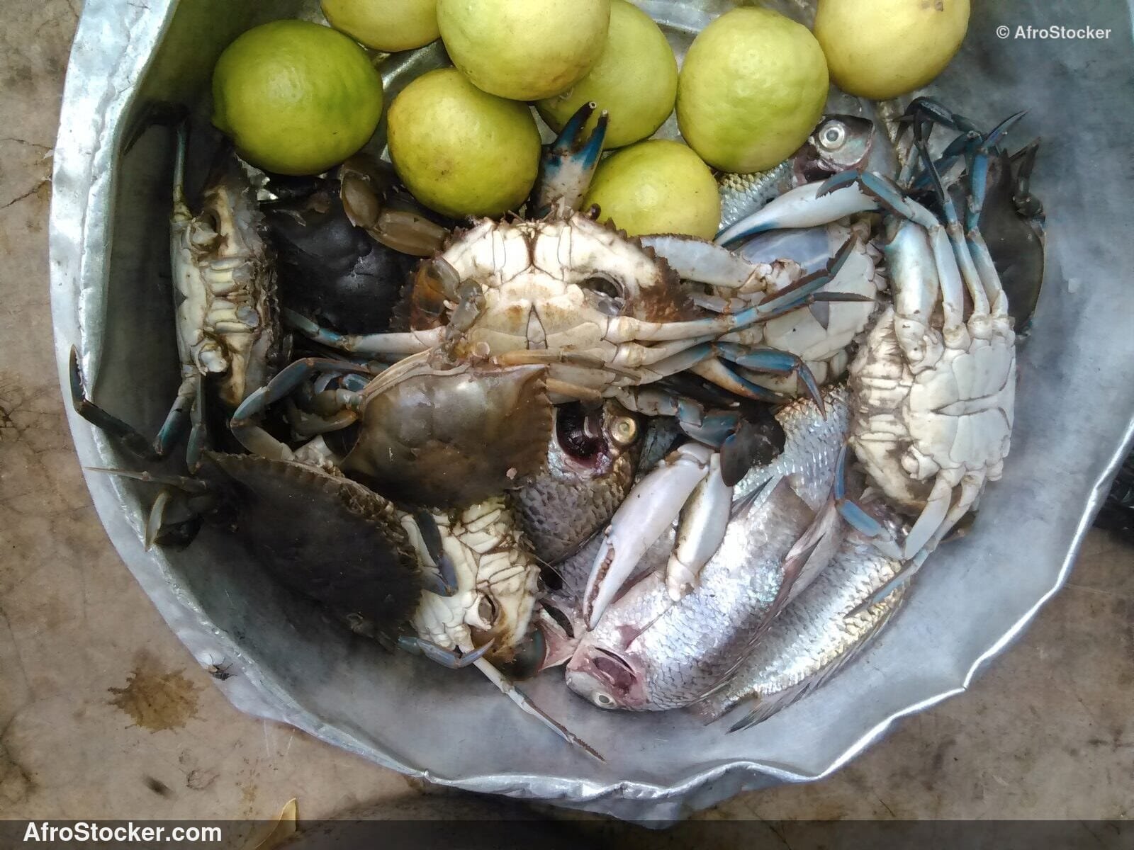 Crabs West Africa Village / Crabes Village Afrique Ouest | AfroStocker
