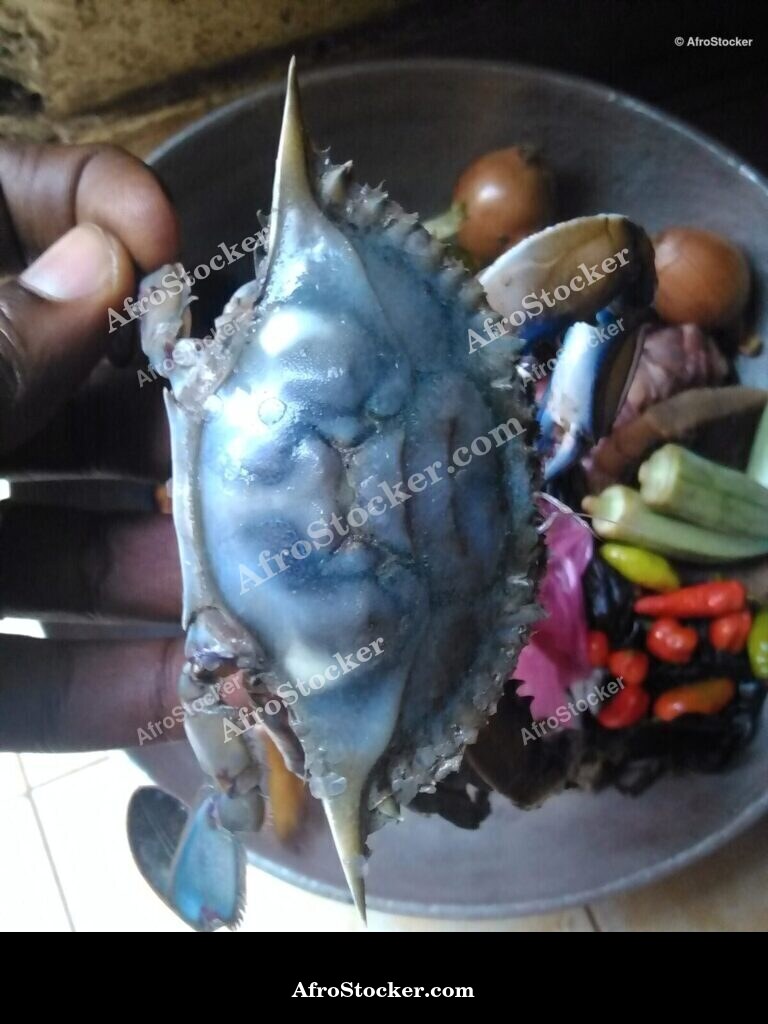 Crabs And Condiments Guinea-Bissau / Crabes et Condiments Guinée-Bissau | AfroStocker