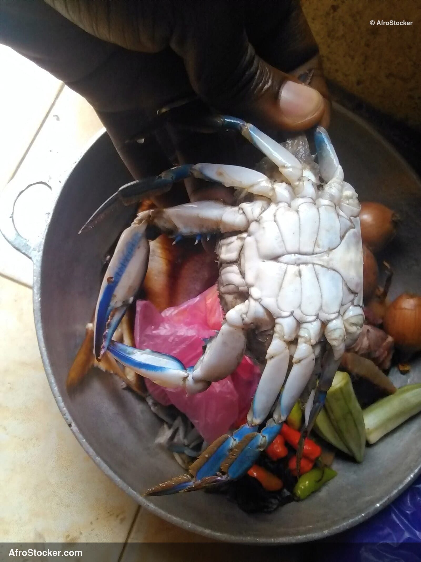 Fresh Crabs Market Guinea-Bissau / Marché de Crabes Frais Guinée-Bissau | AfroStocker