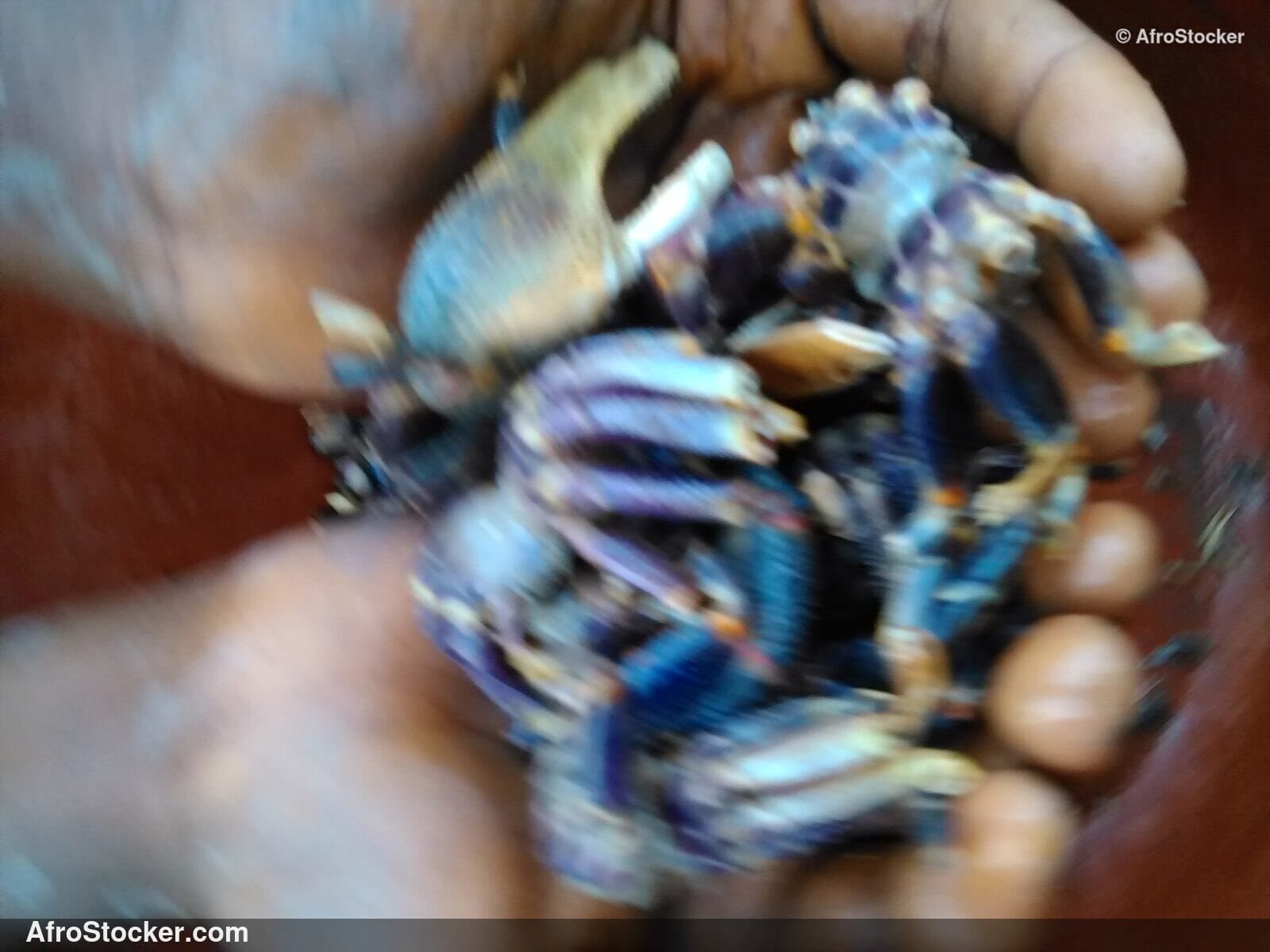 Crabs African Coastal Market / Crabes Marché Côtier Africain | AfroStocker