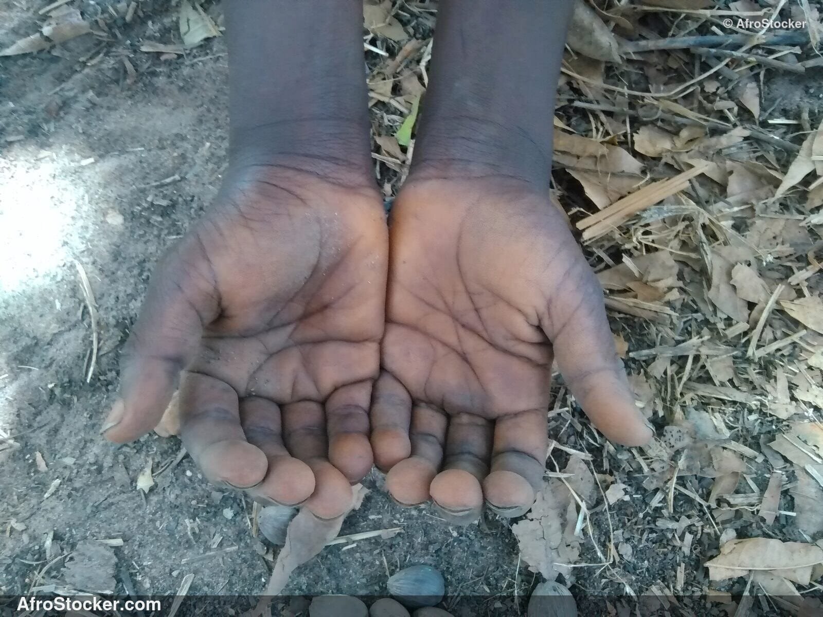 Hands African Portrait / Mains Portrait Africain | AfroStocker