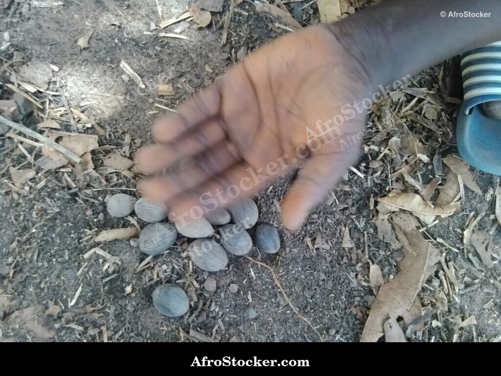 Child Hands African Village / Mains Enfant Village Africain | AfroStocker