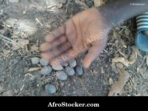 Child Hands African Village