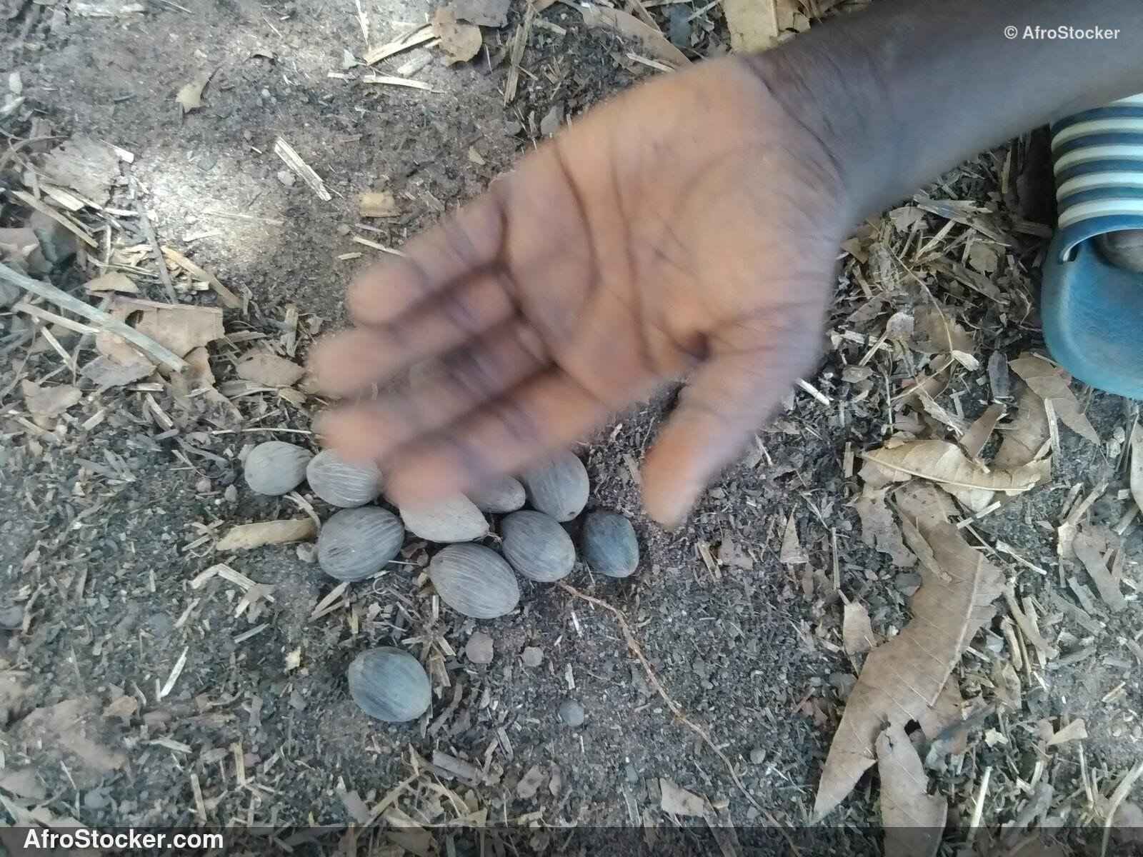 Child Hands African Village / Mains Enfant Village Africain | AfroStocker