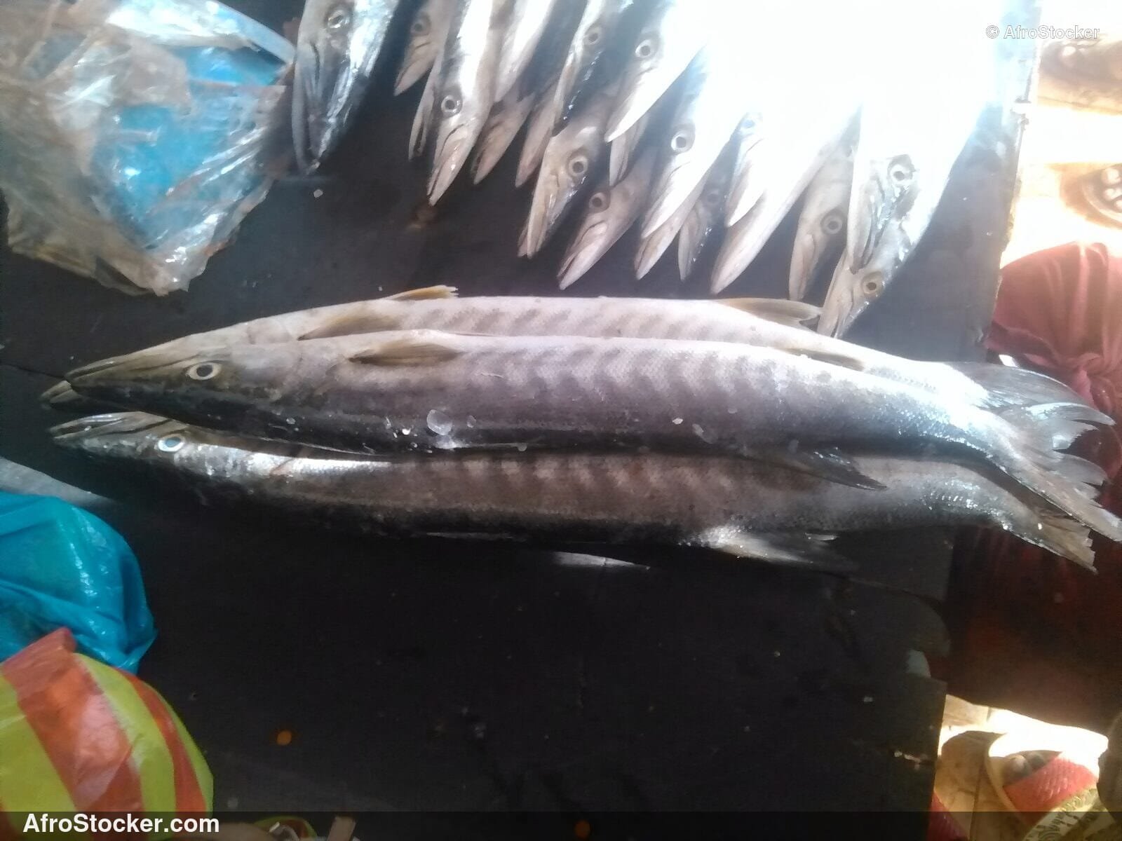 Fish Market Scene Mozambique / Marché aux Poissons Mozambique | AfroStocker