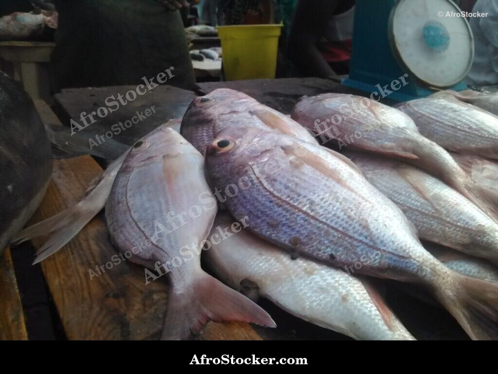 Traditional Market Angola West Africa / Marché Traditionnel Angola Afrique | AfroStocker