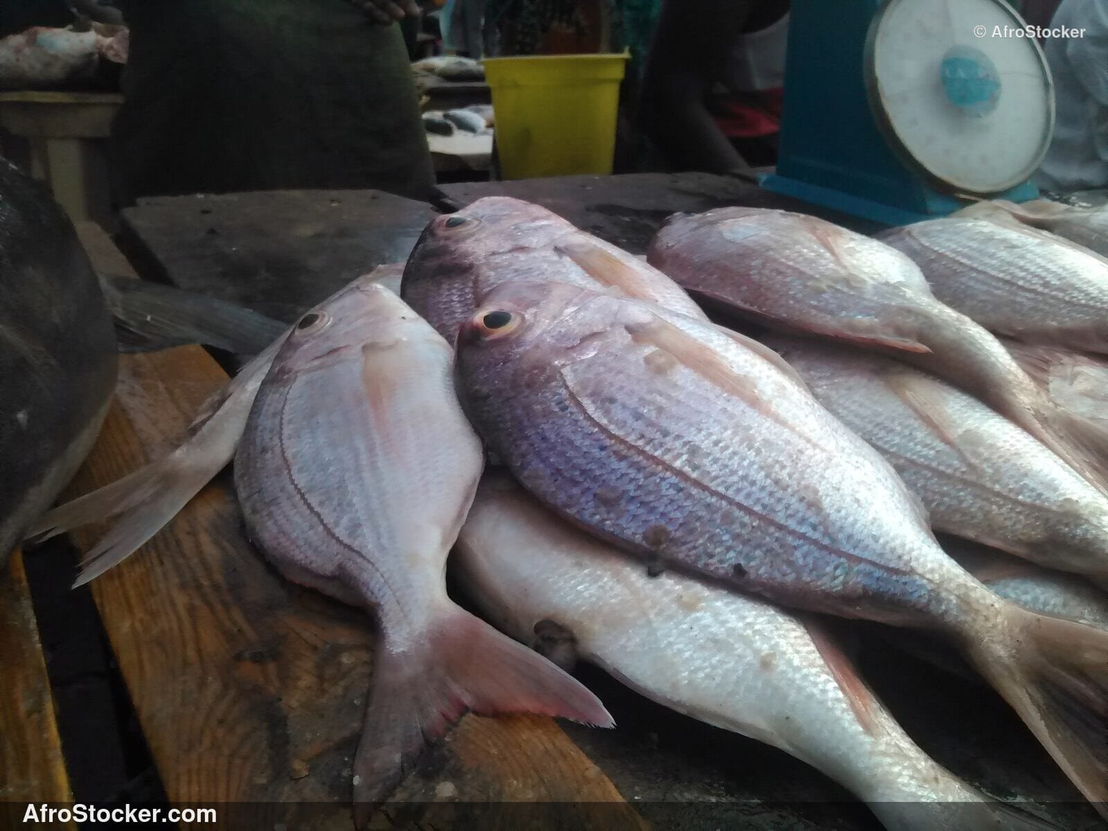 Traditional Market Angola West Africa / Marché Traditionnel Angola Afrique | AfroStocker