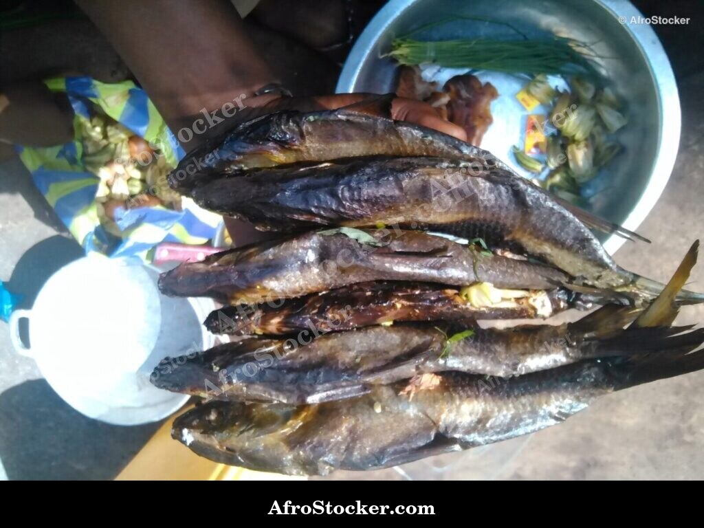 Dried Fish West Africa / Poissons Séchés Afrique de l'Ouest | AfroStocker