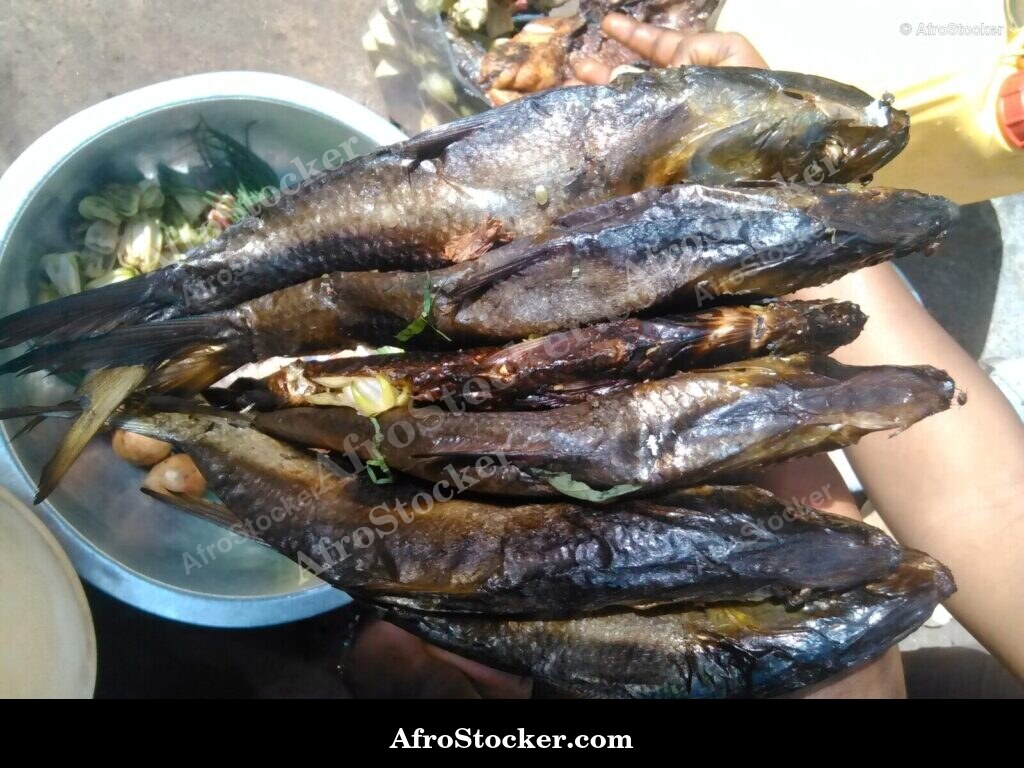 Dried Fish African Market / Poissons Séchés Marché Africain | AfroStocker