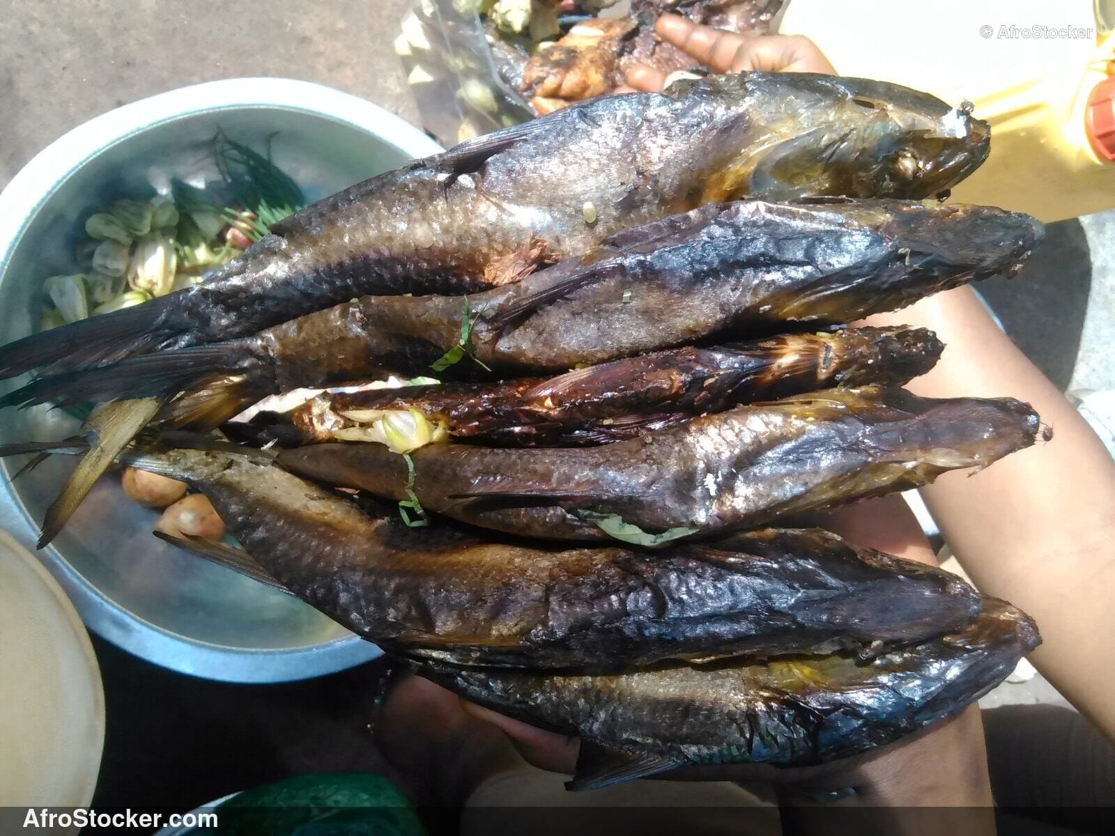 Dried Fish African Market / Poissons Séchés Marché Africain | AfroStocker