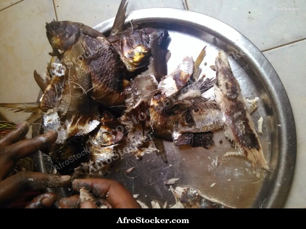 Dried Fish Stock Africa / Stock de Poissons Séchés Afrique | AfroStocker