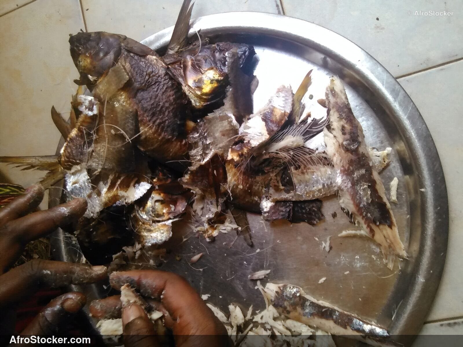 Dried Fish Stock Africa / Stock de Poissons Séchés Afrique | AfroStocker