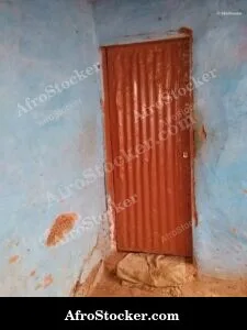 Traditional Wooden Door Africa