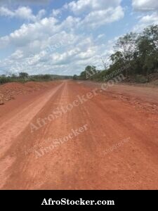 African Road Countryside
