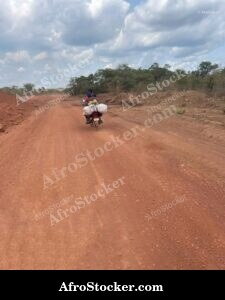 Rural Road West Africa