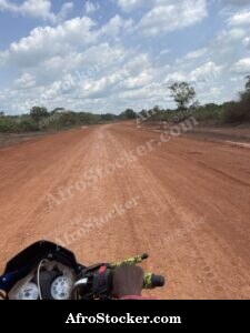 African Road Landscape