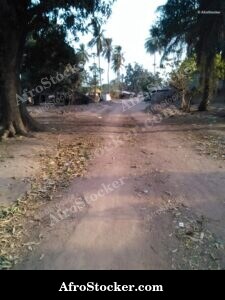 African Country Road