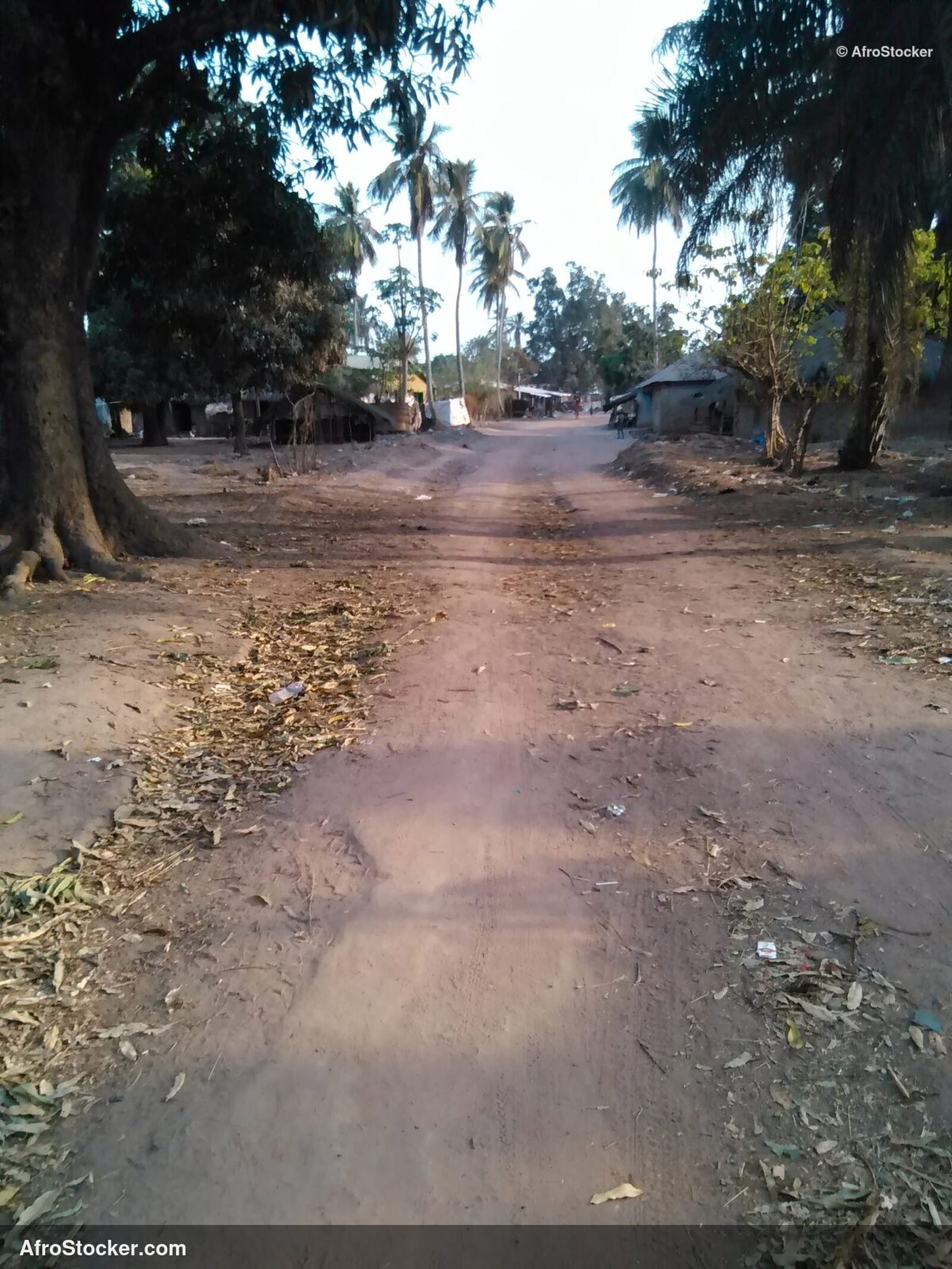 African Country Road / Route de Campagne Africaine | AfroStocker