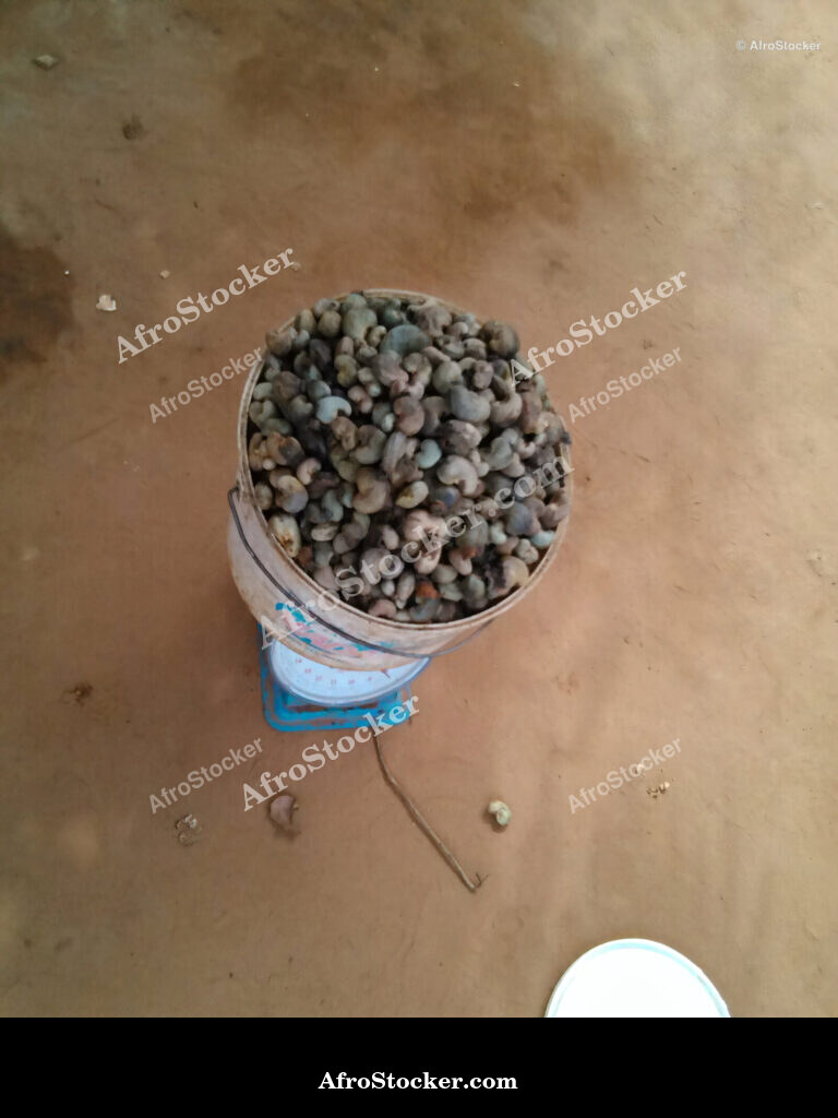 African Cashew Apple / Pomme de Cajou Africaine | AfroStocker