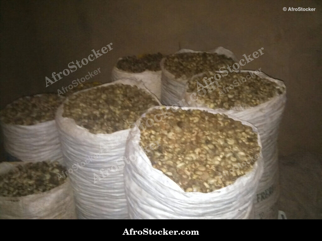 Cashew Season West Africa / Saison de Cajou Afrique de l'Ouest | AfroStocker