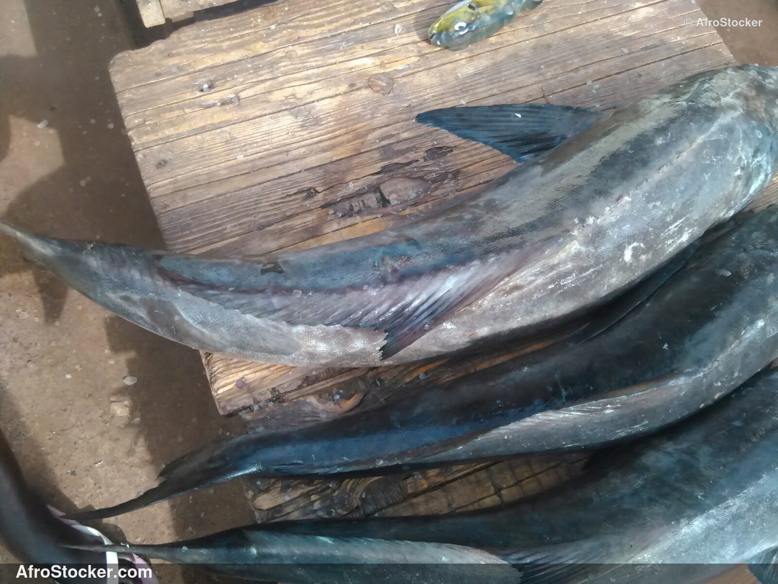 Fish Seller African Market / Marchand de Poissons Marché Africain | AfroStocker