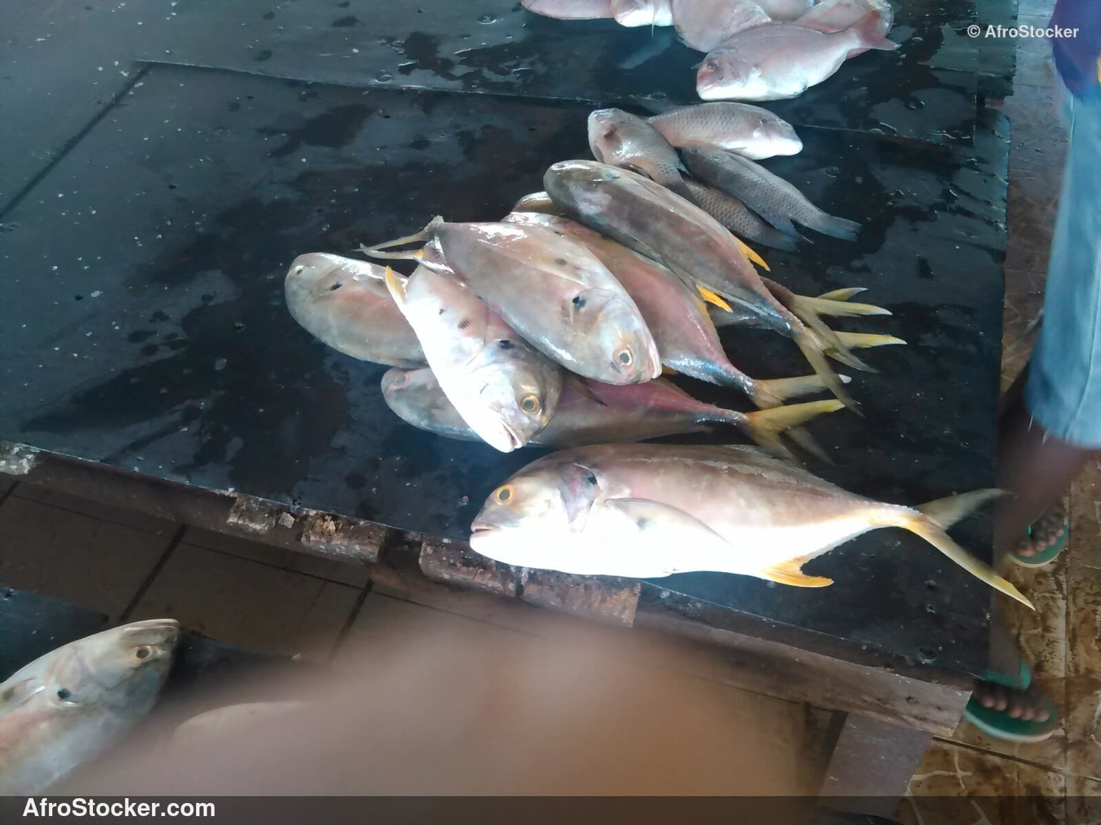 Fish Trade Traditional Africa / Commerce de Poissons Afrique Traditionnelle | AfroStocker