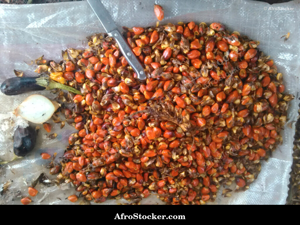 Palm Seeds Basket Africa / Panier de Graines de Palmier Afrique | AfroStocker