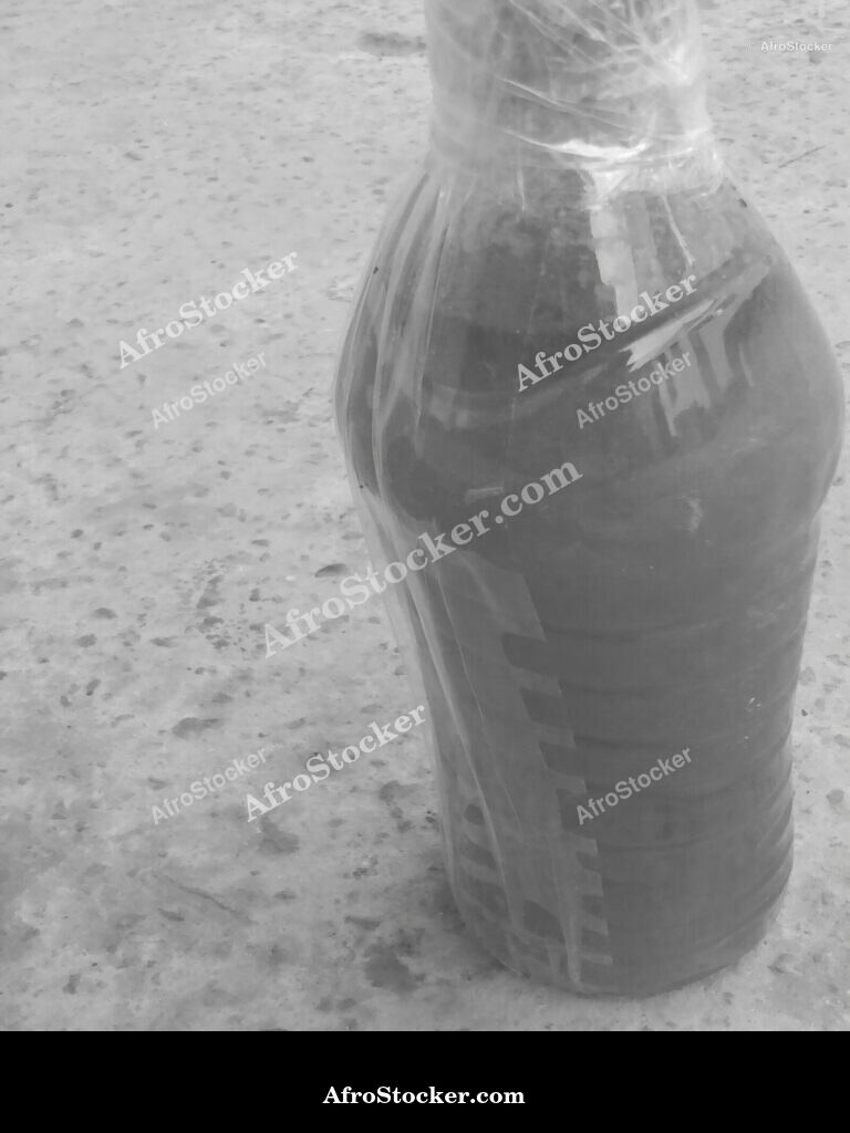 African Palm Oil / Huile de Palme Africaine | AfroStocker