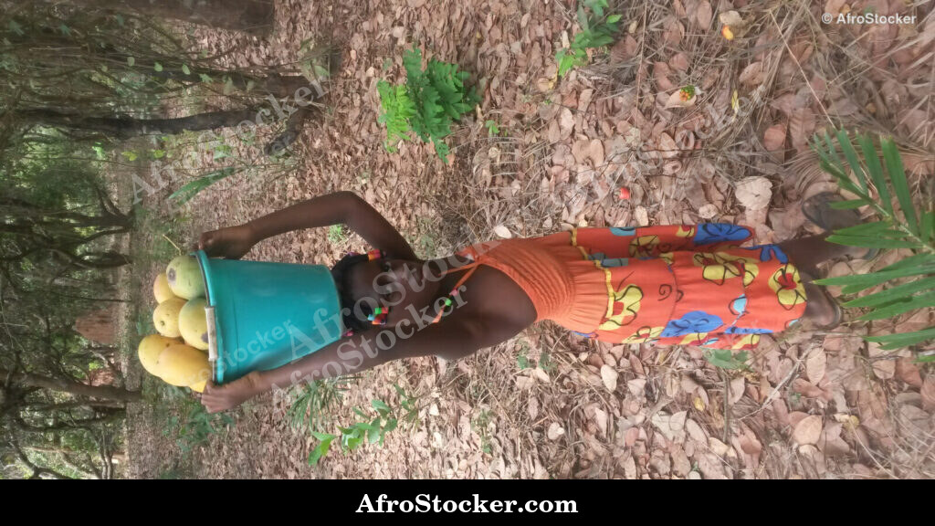 Girl Selling Mango Africa / Fillette Vendant des Mangues Afrique | AfroStocker
