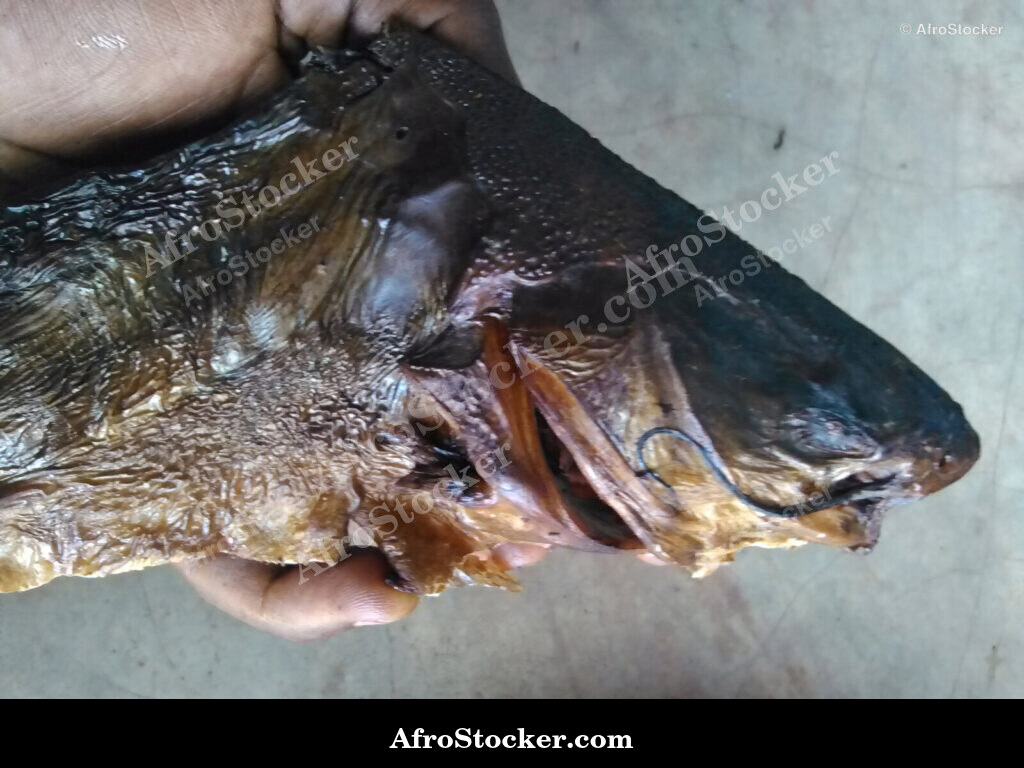 Dried Fish Guinea / Poisson Séché Guinée | AfroStocker