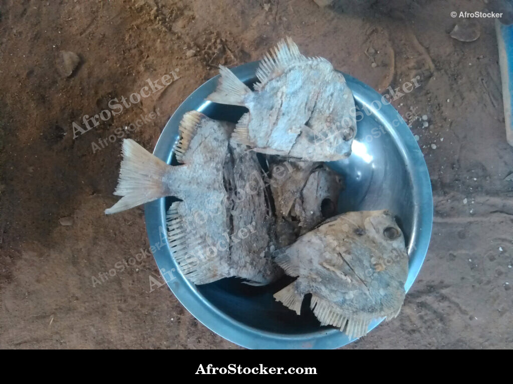 Dried Fish African Cuisine / Poisson Séché Cuisine Africaine | AfroStocker