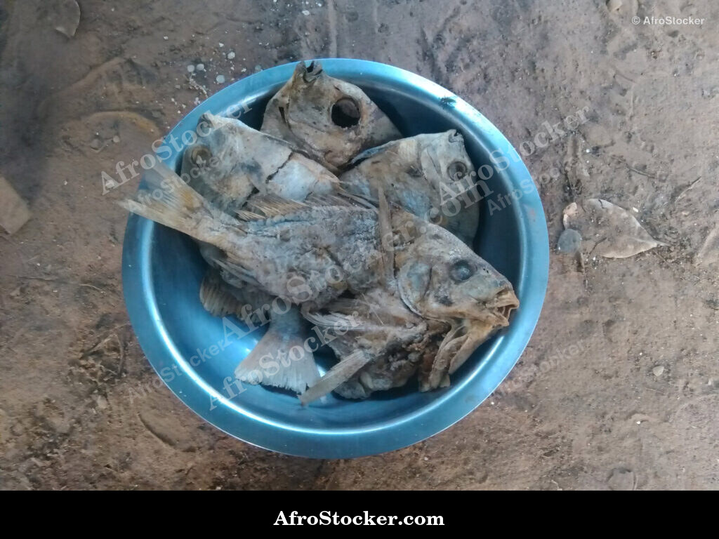 Smoked Fish Africa / Poisson Fumé Afrique | AfroStocker