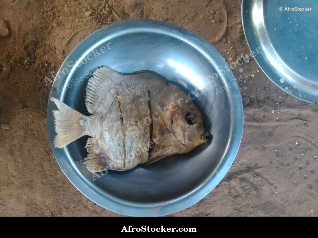 African Dried Fish Display / Étalage de Poisson Séché Africain | AfroStocker
