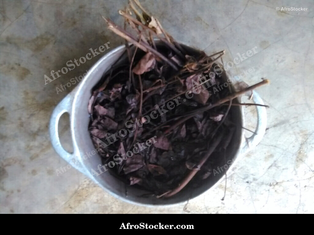 Quinquelibat Cooking Pot / Marmite Quinquelibat | AfroStocker
