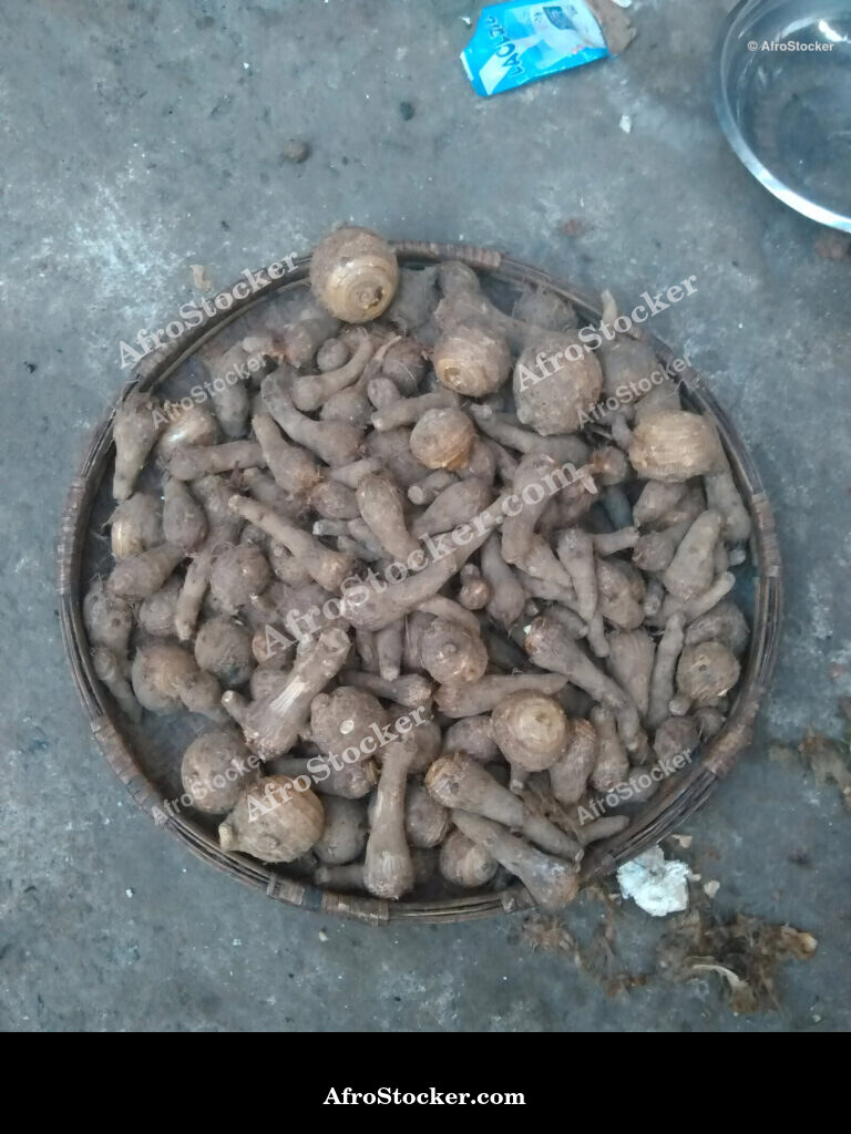 Taro on Straw Tray Africa / Taro sur Plateau en Paille Afrique | AfroStocker