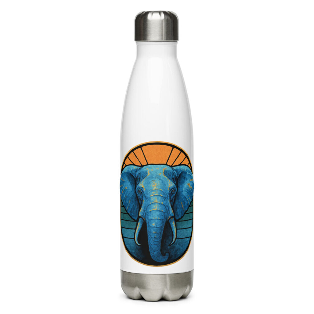 Stainless steel water bottle